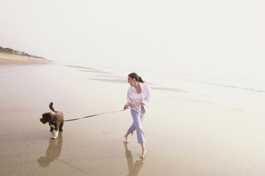 Young woman taking her dog for a walk on the beach