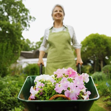 Front view of woman pushing wheelbarrow in garden