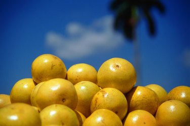 Grapefruits against blue sky, focus on foreground