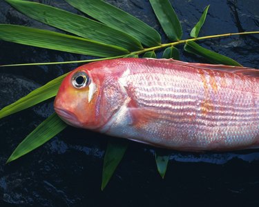 mercury-rich tilefish on bamboo leaf, side view, close up