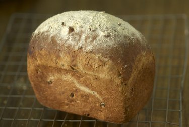 Freshly baked bread cooling on wire rack