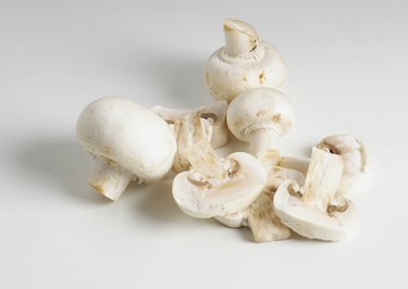 Pile of mushrooms