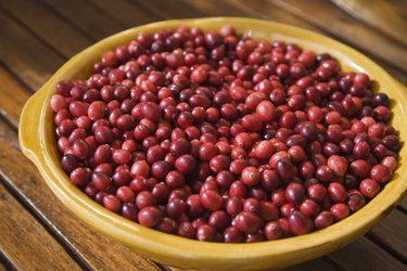 Bowl of cranberries