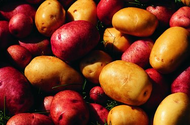 Red and gold potatoes