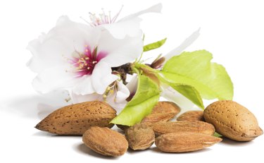 Almonds with flowers