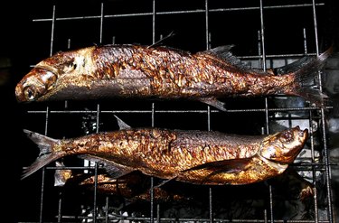 smoked fish on Lattice