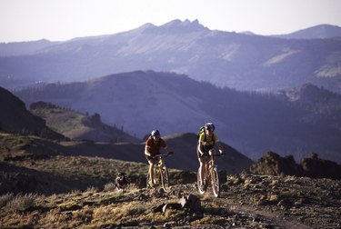 Trek v online cannondale