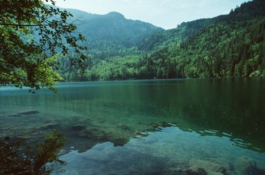 Remote lake in forest, British Columbia, Canada