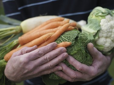 Senior man holding vegetables, close-up