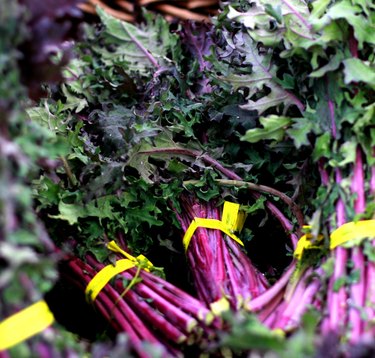 Red Russian Kale