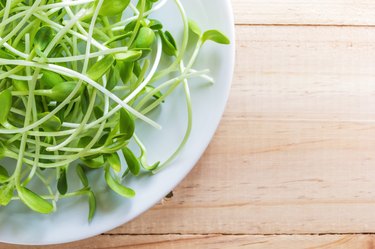 Sunflower sprouts