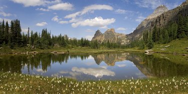 Reflection of mountains and trees in water, Moor Lake, Yoho National Park, British Columbia, Canada