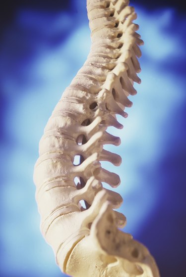 Physical Therapy for Lumbar Compression Fractures