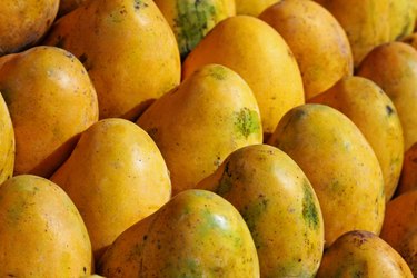Full frame of mangoes