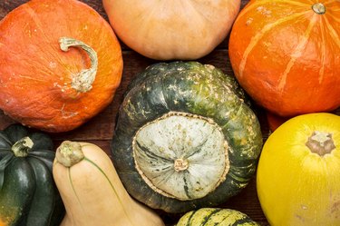 winter squash background