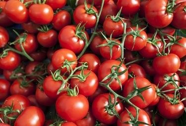 Many Ripe Red Tomatoes