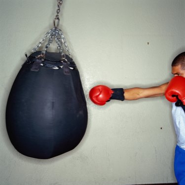 Boxer Training with Punching Bag