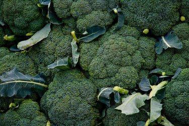 Bushels of broccoli