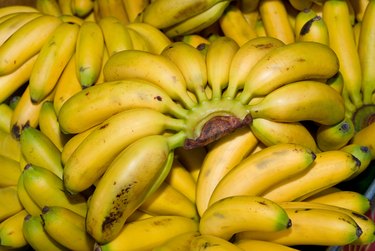 Baby bananas