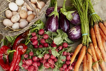 Freshly harvested vegetables at organic farm