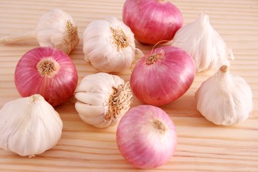 Studio shot onions and garlic buds