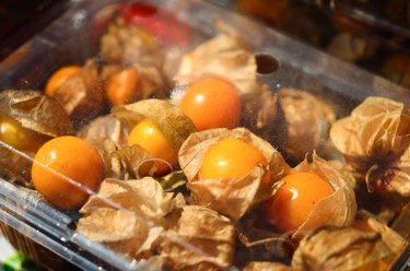 Cape Gooseberry in a plastic package on market