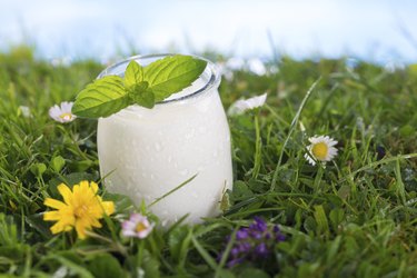 bowl of yoghurt with mint leaf