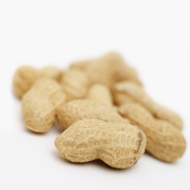 Close-up of peanuts