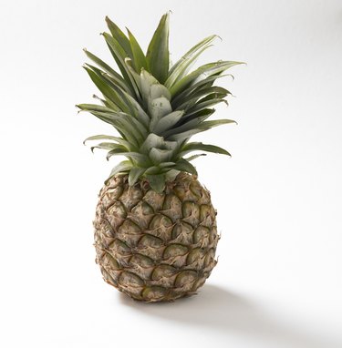 A pineapple, studio shot