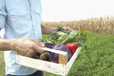 Young man carrying box of vegetables, outdoors, mid section