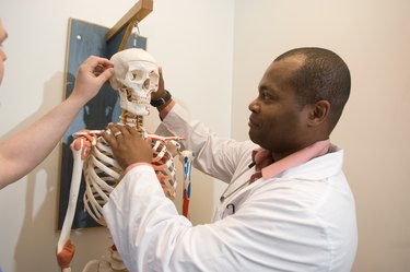 Student doctors studying anatomy on a skeleton