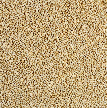 Quinoa (full frame)