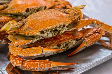 Hot steamed flower crab or blue crab.