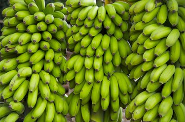 Bananas in Brazil
