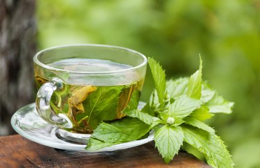 morning green mint tea at garden