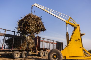 Tractor Truck Crop Loading