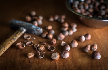 Cracked Hazelnut