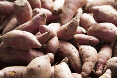 Pile of red sweet potato