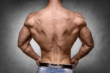 Back of a young man with well trained body, triceps, lats and rhomboid muscle and wearing a denim trousers