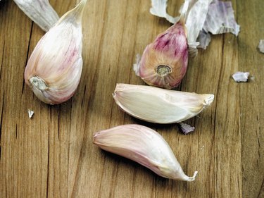 Pods of garlic