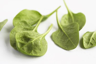 Spinach leaves, close up