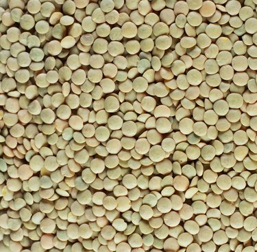 Green lentils (full frame)
