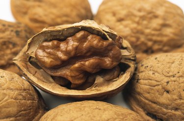 Walnut