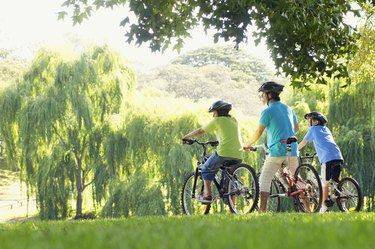 Father and two sons (10-12) riding bikes in park, rear view