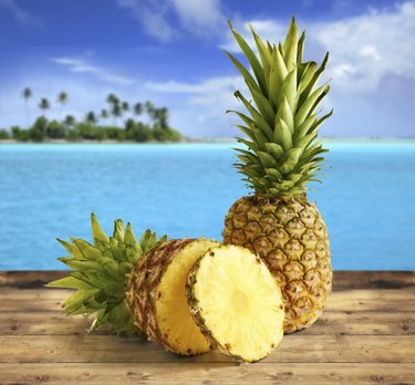 tropical pineapple