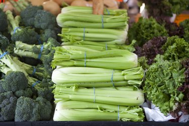 Fresh Celery at an Outdoor Farmers Market