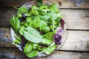 Freshh green salad with spinach,arugula,romane and lettuce