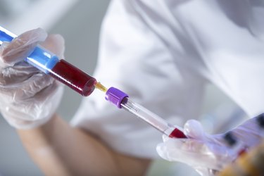 Scientist working in laboratory