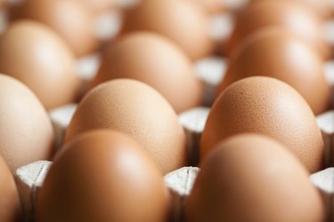 Tray of chicken eggs