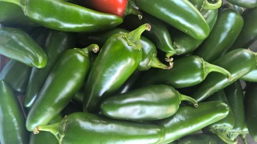 Pimenta Jalapeño Jumbo